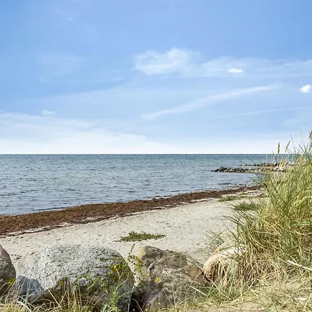 Svanborg - 40m From The Sea By Interhome Holiday home