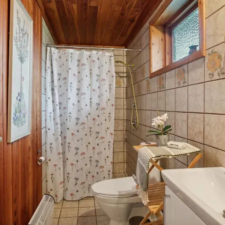 Svanborg - 40m From The Sea By Interhome Holiday home *
