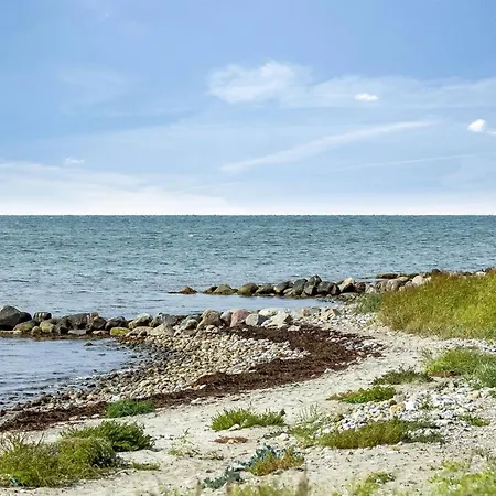 Svanborg - 40m From The Sea By Interhome スラーエルセ